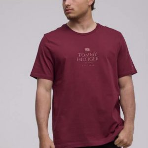 T-shirt uomo tommy hilfiger mezza manica girocollo - immagine 1
